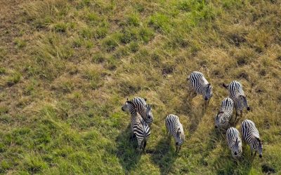 akagera-from-the-air